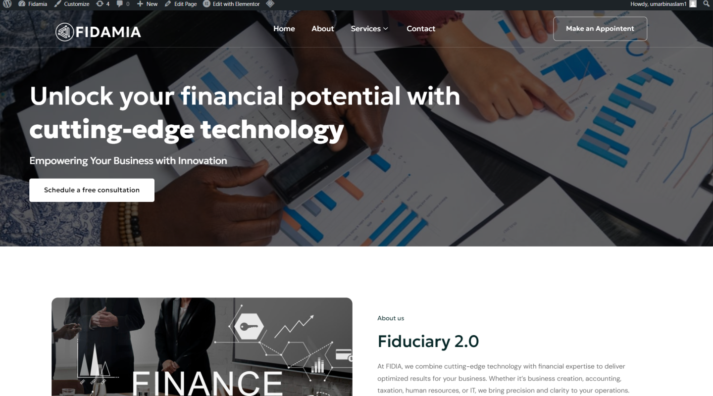 finance-website-1